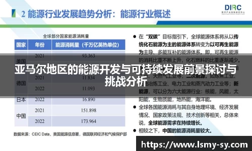 亚马尔地区的能源开发与可持续发展前景探讨与挑战分析